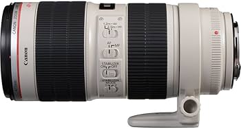 Amazon.com : Used Canon 70-200mm F2.8 L is II Lens W/Lens Hood and