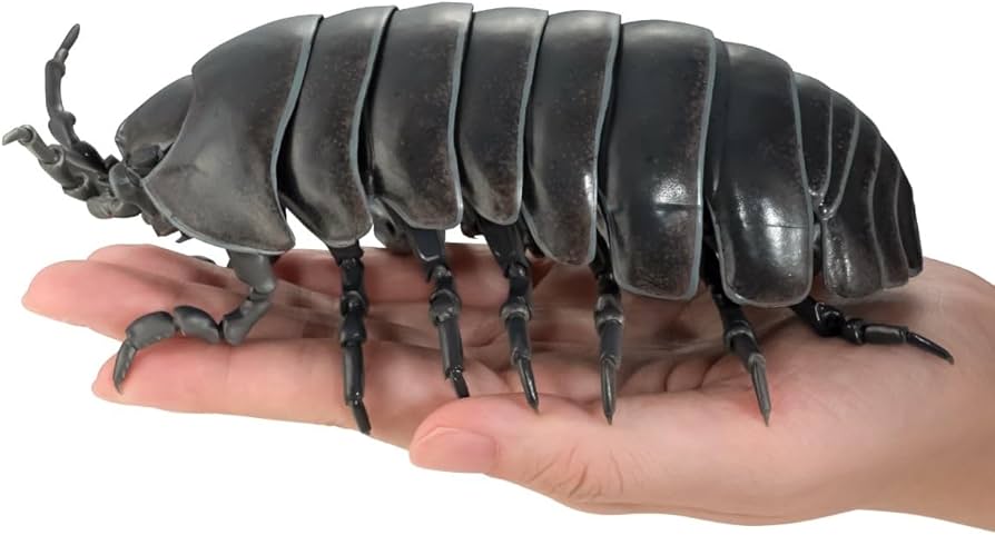 Amazon | いきもの大図鑑アドバンス ダンゴムシ (重塗装版) [全3種