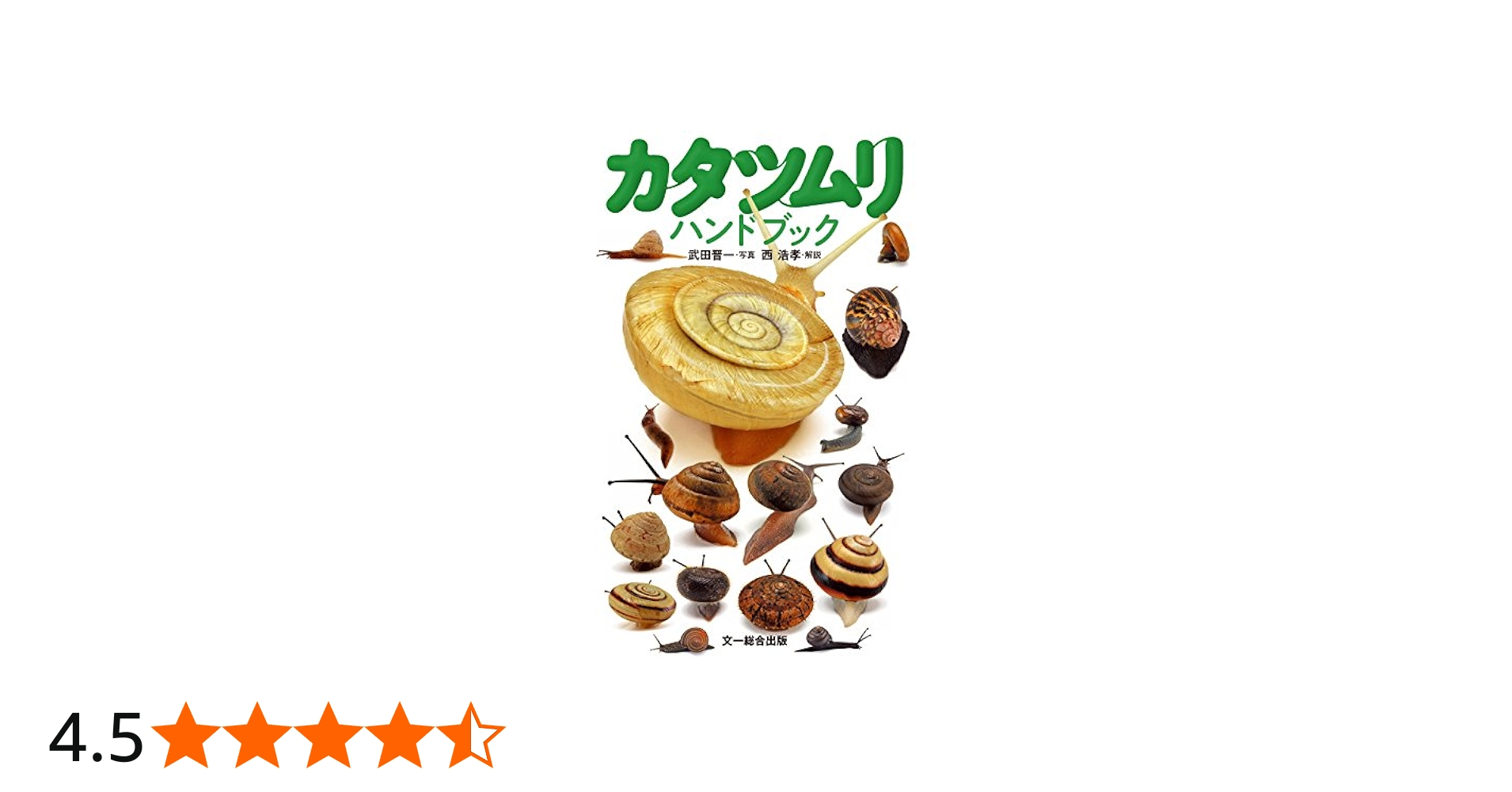 Amazon.co.jp: カタツムリハンドブック : 西 浩孝, 武田 晋一