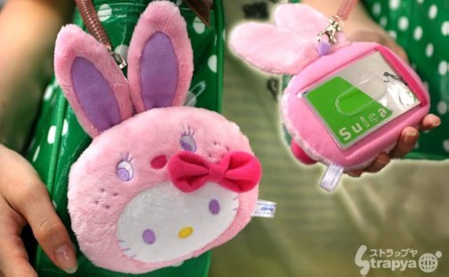 Amazon.co.jp: ラブリーなうさぎに変身☆ハローキティーパスケース