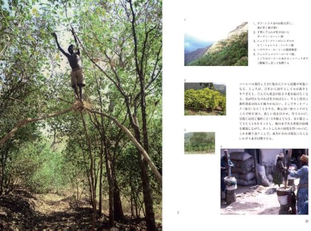 モカに始まり | 森光宗男 |本 | 通販 | Amazon