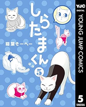 しらたまくん 6 (ヤングジャンプコミックスDIGITAL) | 稲葉そーへー
