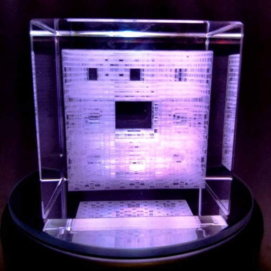 51IbcNhn2DL._AC_UF894,