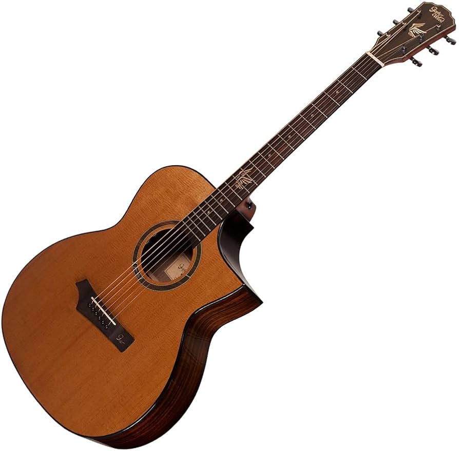 Amazon | Gopher Wood Guitars i320RCE-JP/Origin アコースティック