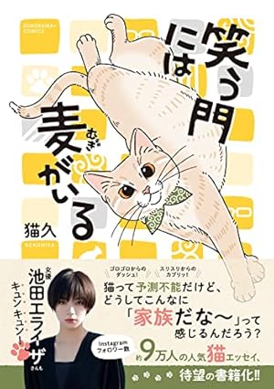 Amazon.co.jp: はぴはぴ くるねこ 2 : くるねこ 大和: 本