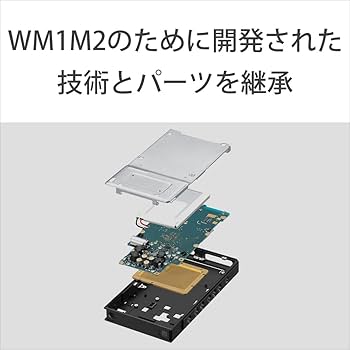 Amazon.co.jp: ソニー(SONY) ウォークマン 64GB ZXシリーズ NW-ZX707