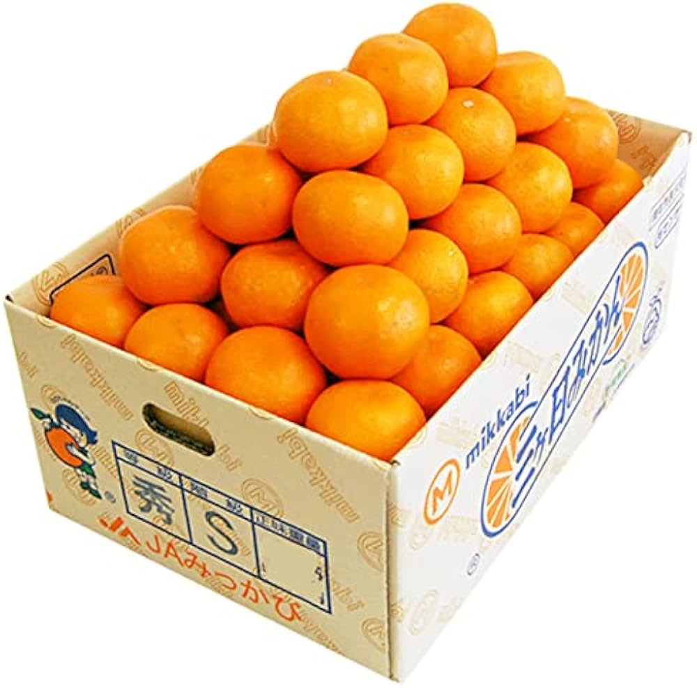 Amazon.co.jp: 糖度11度 三ヶ日みかん【秀品】Sサイズ 8キロ ( 96個