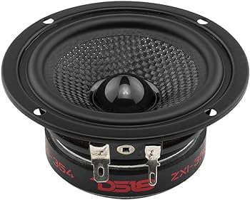 Amazon.com: DS18 ZXI-354 3.5