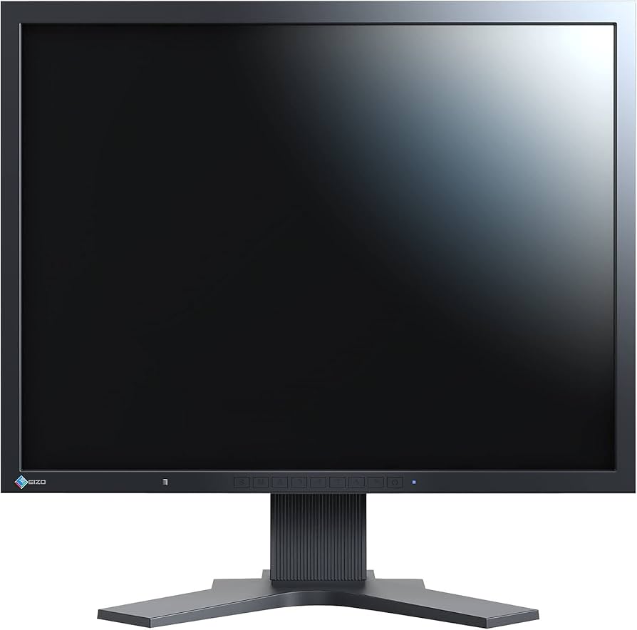 Amazon.com: Eizo FlexScan S2133-BK 21.3