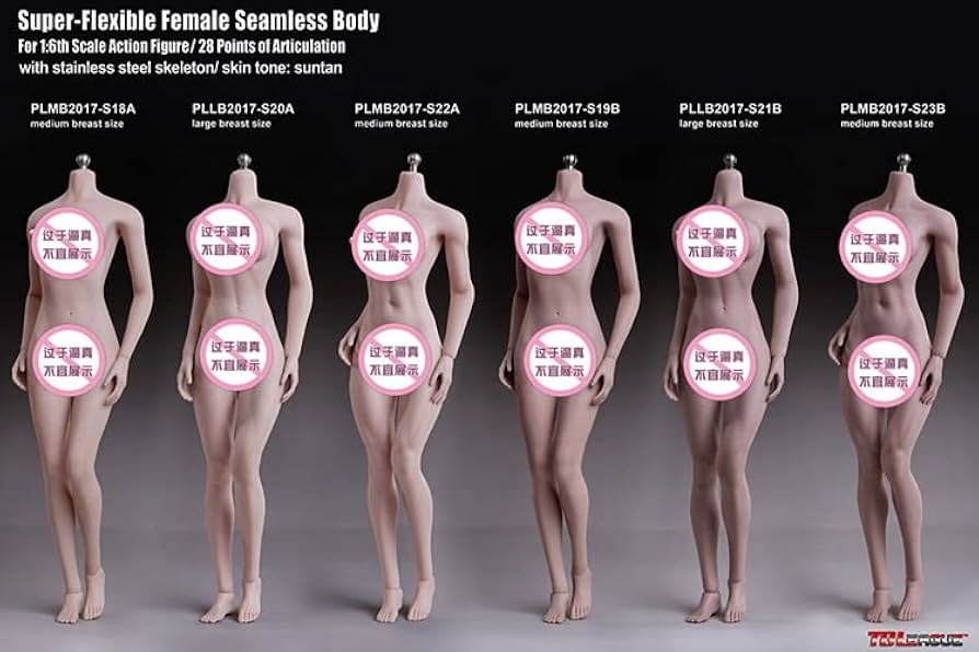 Amazon.com: i8 TOYS Phicen TBLeague 1/6 Scale Female Seamless