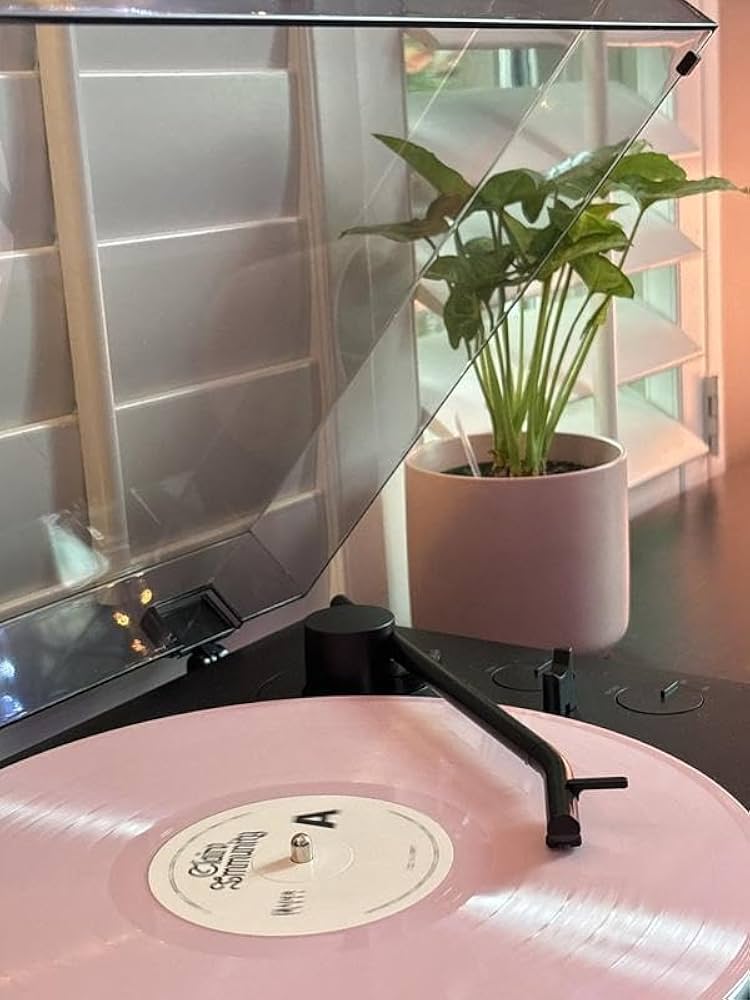 Amazon.com: Clairo - Immunity (5-Year Anniversary) Baby Pink