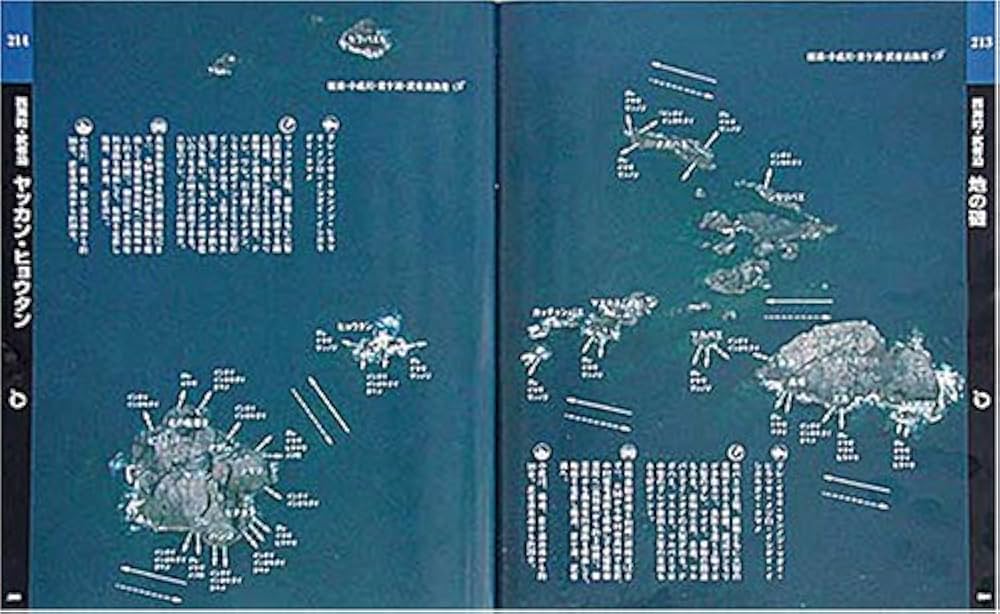 Amazon.co.jp: 高知の海釣りのすべて: 高知・南予の海釣り空撮230