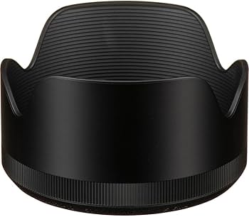 Amazon.com : Sigma 50mm F1.4 Art DG HSM Lens for Canon : Electronics