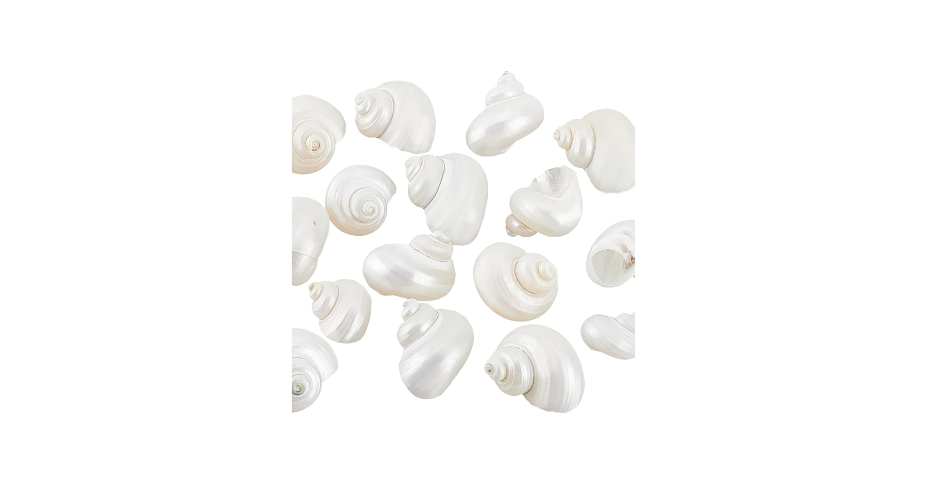 51QllfaeH6L.jpg_BO30,255,255,