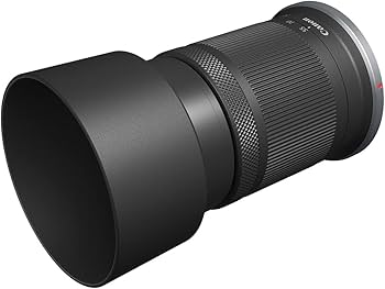 Amazon.com : Canon RF-S55-210mm F5-7.1 is STM for APS-C Mirrorless