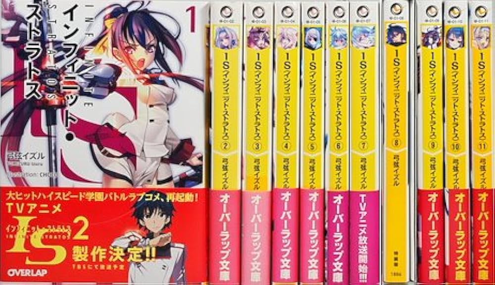 Amazon.co.jp: IS インフィニット・ストラトス ライトノベル 全11巻