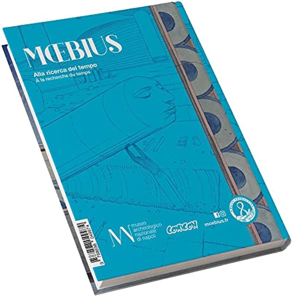 51TIIFZSwoL._AC_UF1000,