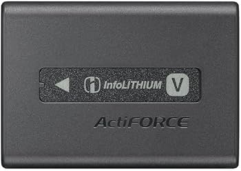 Amazon.com : Sony NPFV100A Rechargeable Battery Pack (Black