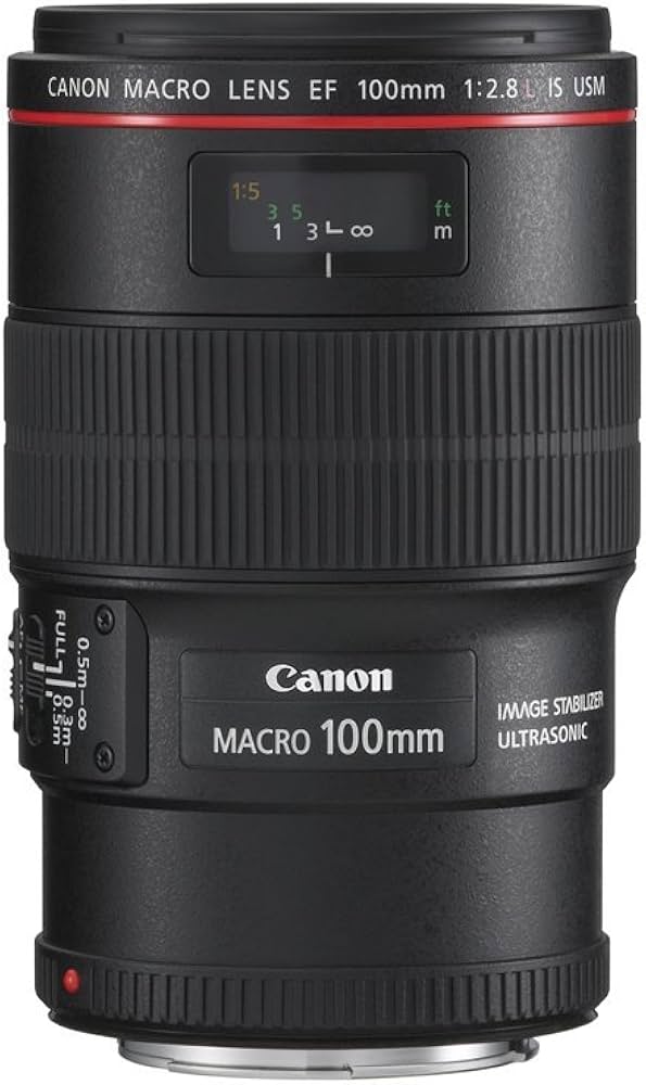 Amazon.com : Canon EF 100mm f/2.8L is USM Macro Lens for Canon
