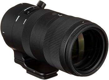 Amazon.co.jp: シグマ(Sigma) レンズ 70-200mm F2.8 DG OS HSM Canon