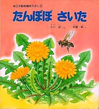 51c7r9aBtJL._AC_UF350,