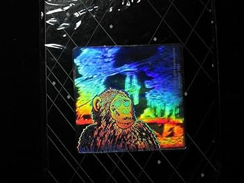 Amazon.co.jp: hgde 3Dホログラムシール_マイナーシール＿サル＿1984