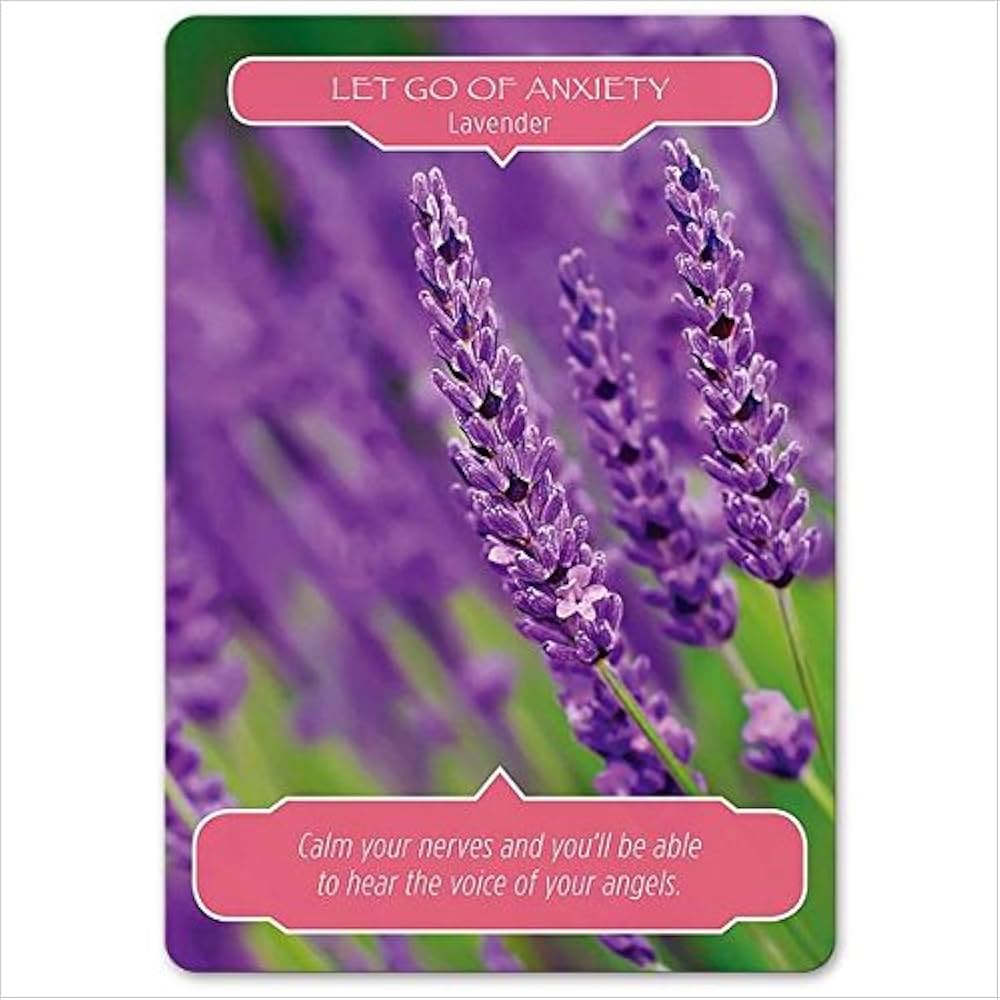 51cPu2Bo07L._AC_UF1000,