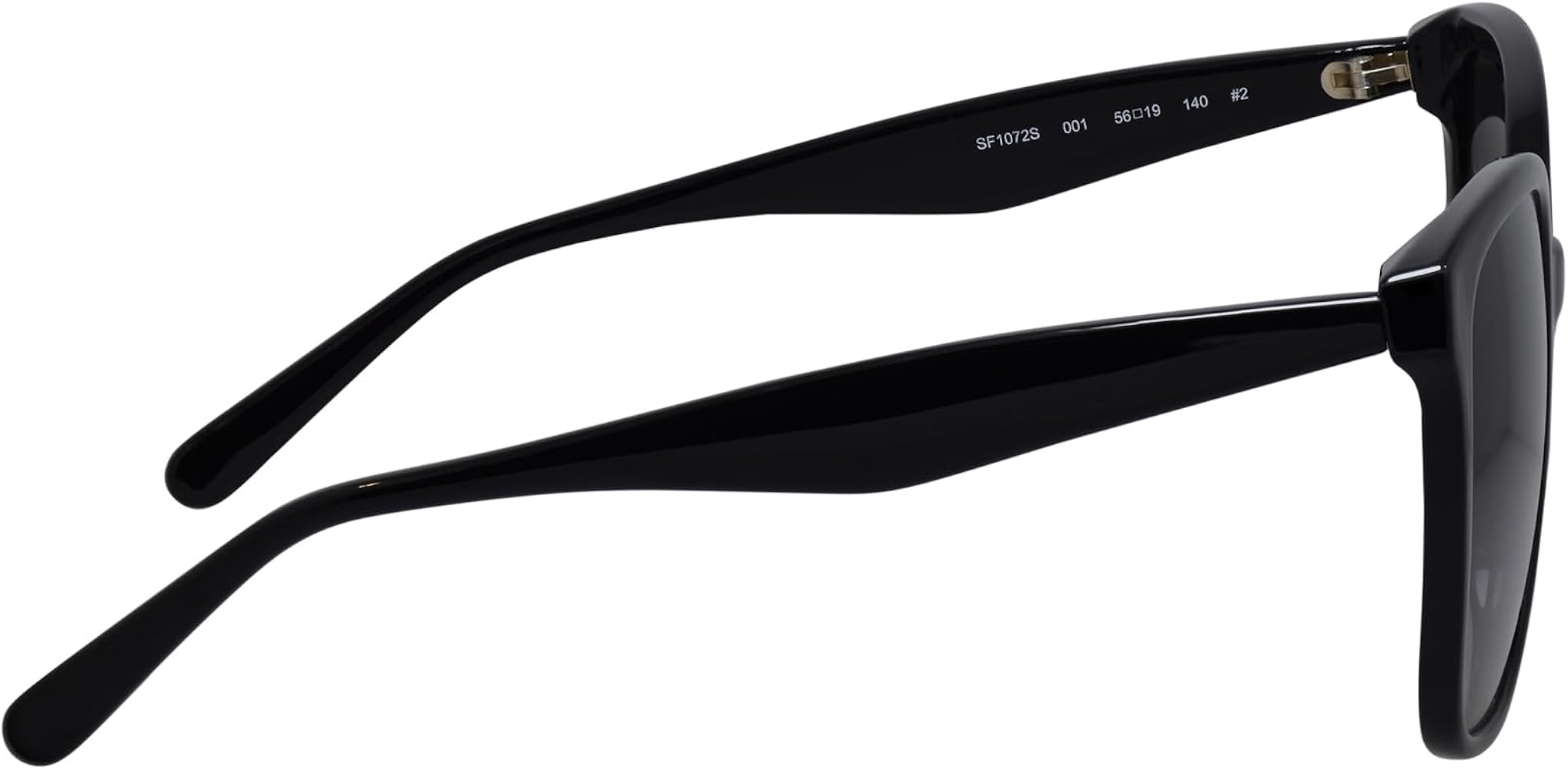 Amazon.com: Salvatore Ferragamo SF 1072S 001 Black Plastic Square