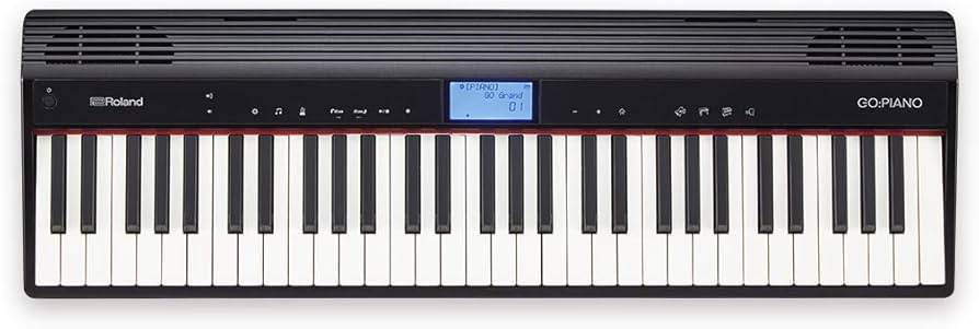Amazon.co.jp: Roland ローランド GO:PIANO エントリーキーボード GO