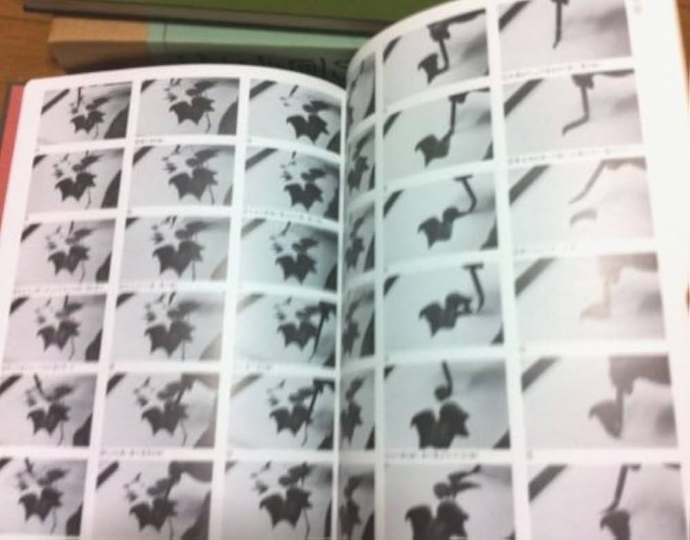 川合玉堂の画手本 |本 | 通販 | Amazon