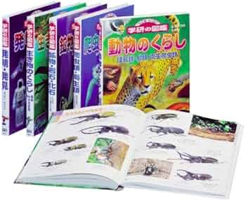 51hHVXf3WCL._AC_UF350,