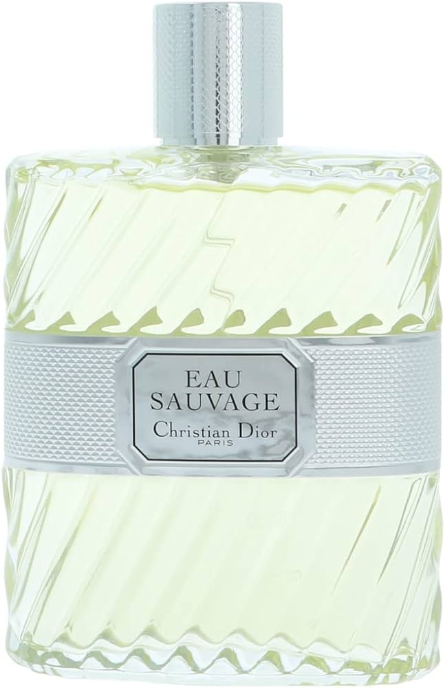 Amazon.com : Christian Dior Eau Sauvage Men Eau De Toilette Spray