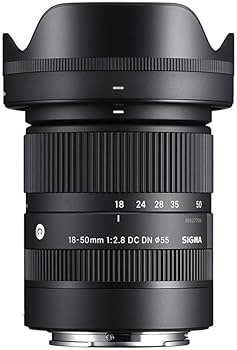 Amazon.com : Sigma 18-50mm F2.8 DC DN Contemporary (for E Mount