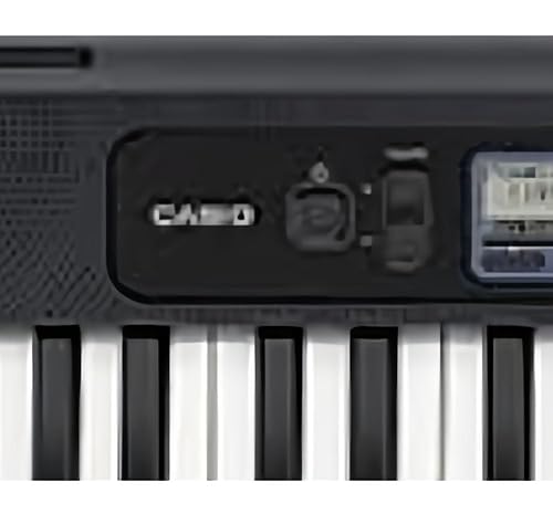 Amazon.com: Casio Casiotone CT-S300 – Portable Keyboard | Touch