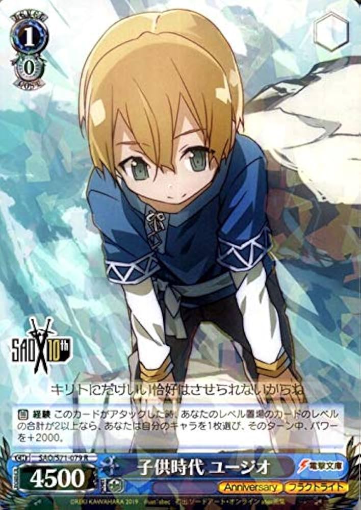 Amazon.co.jp: ヴァイスシュヴァルツ ソードアート・オンライン 10th