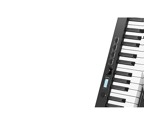 Amazon.com: Eastar EP-10 Beginner Foldable Digital Piano 88 Key