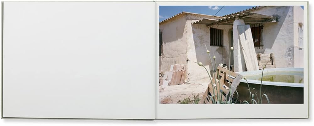 Amazon | Txema Salvans: The Waiting Game | Salvans, Txema, Bonilla