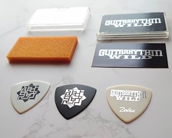 Amazon.co.jp: 布袋寅泰 GUITARHYTHM WILDツアー ギターピックセット