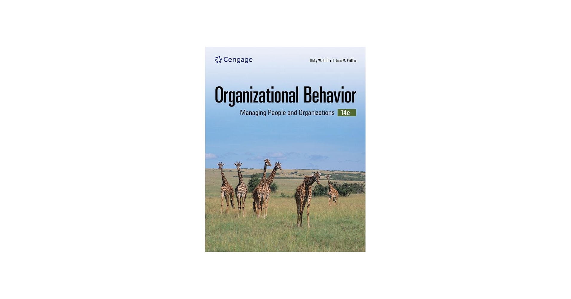 Organizational Behavior: Managing People and Organizations