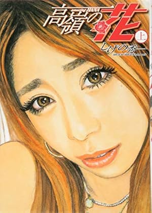 頭文字D(48) (ヤングマガジンコミックス) | しげの 秀一 |本 | 通販