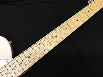 Amazon | FGN FUJIGEN NTE100MAHT WB フジゲン Neo Classic SERIES