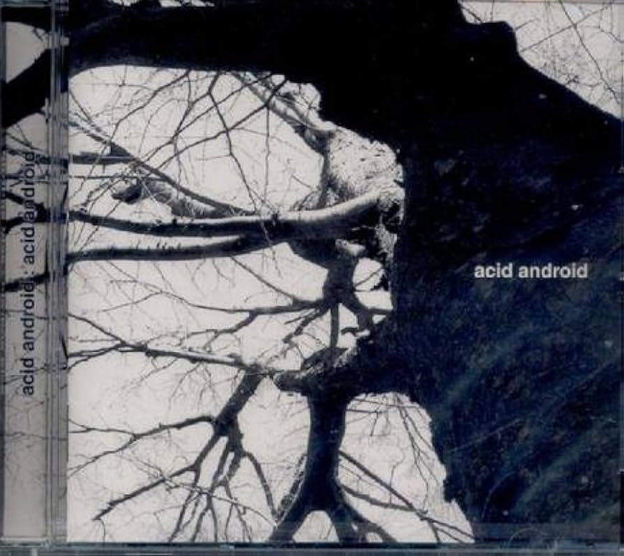 Amazon.co.jp: acid android: ミュージック