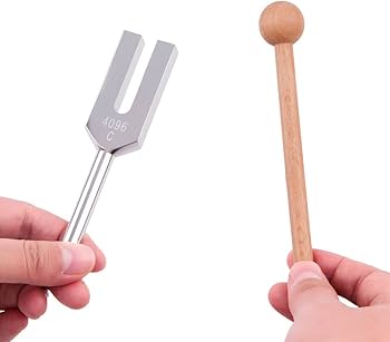 Amazon.co.jp: QIYUN 音叉 チューナー 4096 Hz 4160 hz 4225 hz おんさ