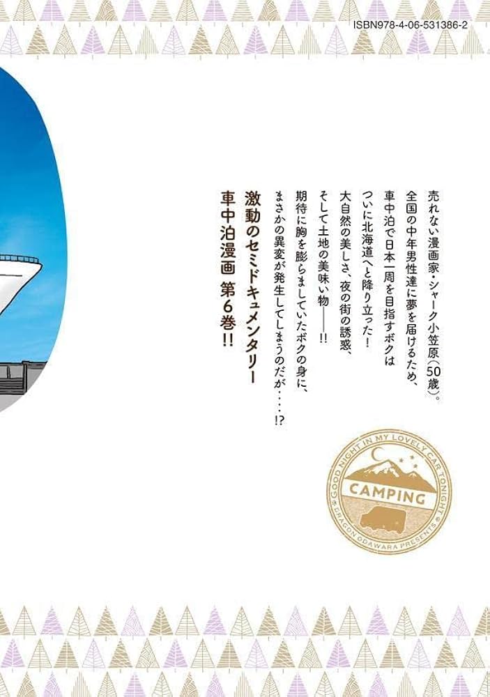 Amazon.co.jp: 今夜は車内でおやすみなさい。(6) (ヤングマガジンKC