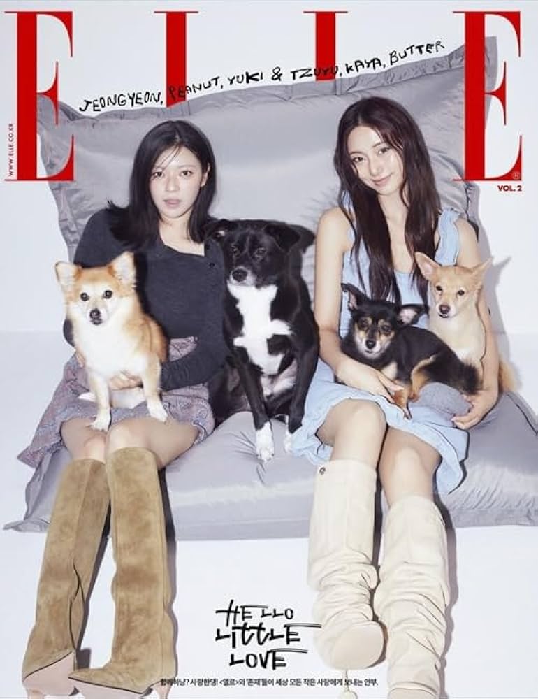 Amazon.co.jp: [ジョンヨン＆ツウィ C TYPE] 韓国雑誌 ELLE (エル