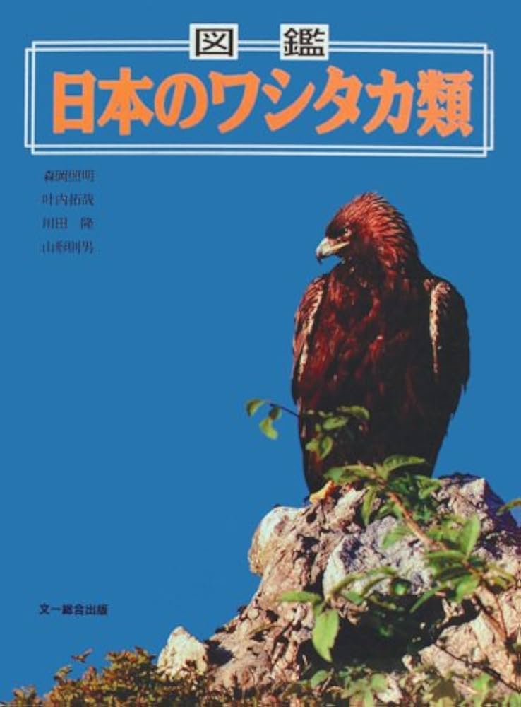 図鑑日本のワシタカ類 第2版 | 森岡 照明 |本 | 通販 | Amazon