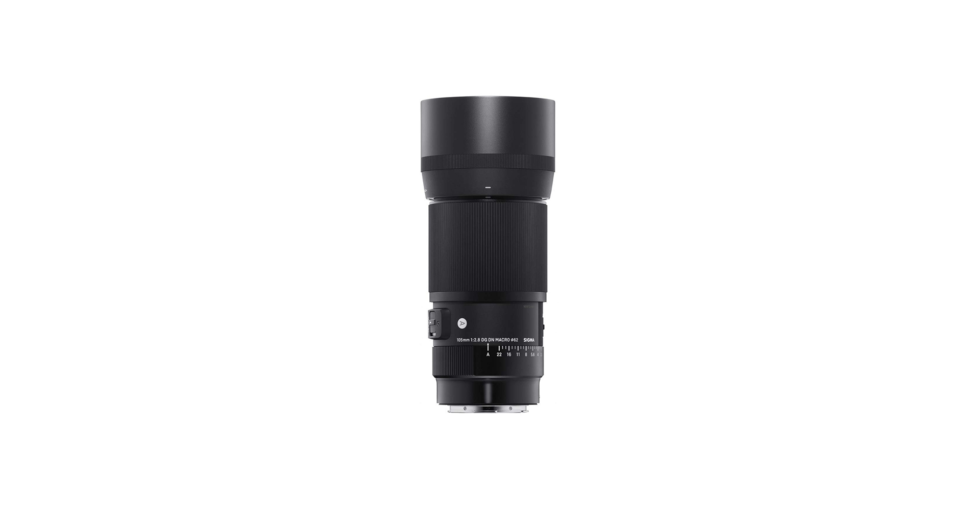 Amazon.com : Sigma 105mm F2.8 DG DN Macro Art (L-mount) : Electronics