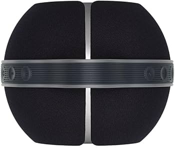 Amazon.com: Devialet - Mania Portable Smart Speaker- Black