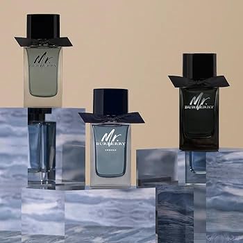 Amazon.com: Burberry Mr. Burberry Eau de Parfum 3.3 fl oz : Beauty
