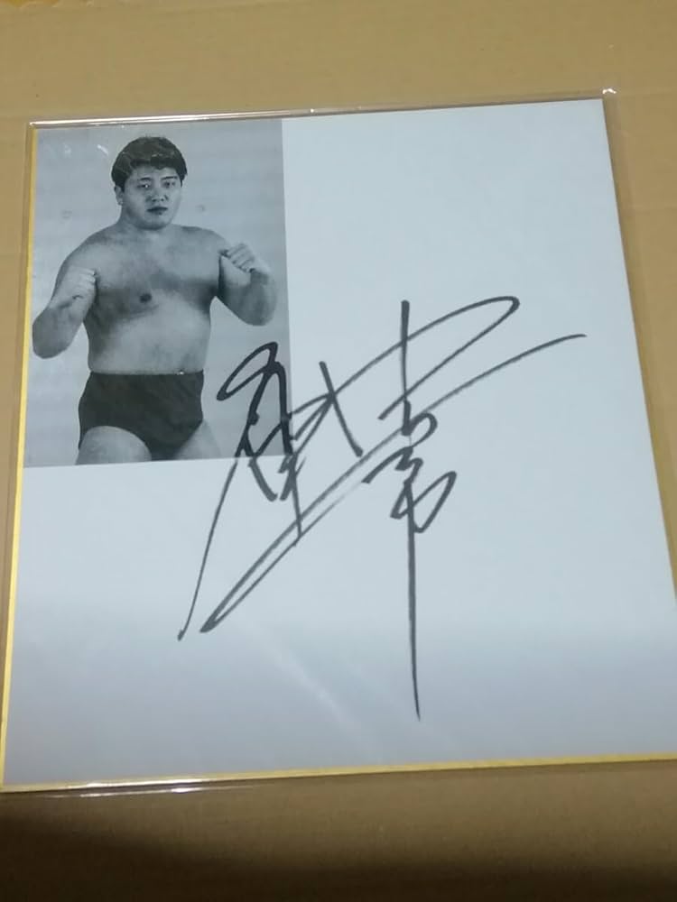 Amazon.co.jp: プロレスラー サイン色紙 仲野信市 : おもちゃ